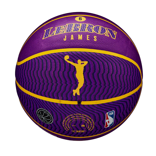 NBA icon LeBron James basketball | Emirates Official Store